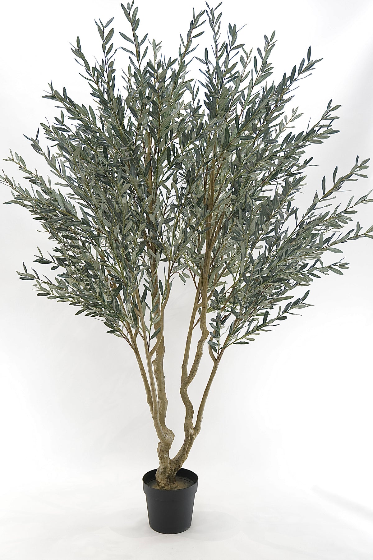 Uměly olivovník 240 x 140 cm